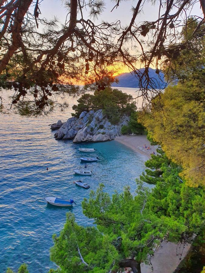 Appartamento Seaview Sveti Filip i Jakov Esterno foto