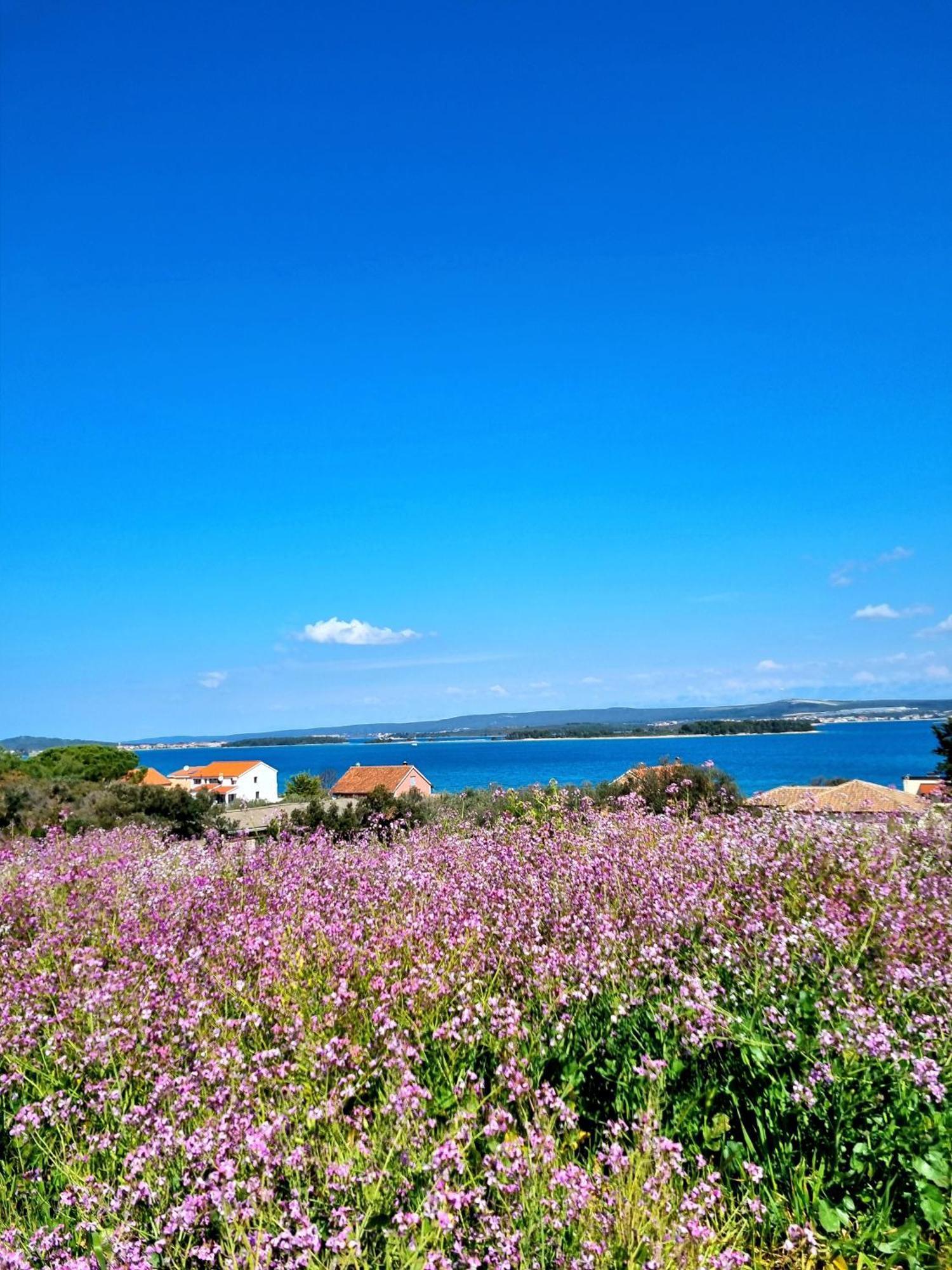 Appartamento Seaview Sveti Filip i Jakov Esterno foto